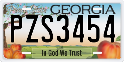 GA license plate PZS3454