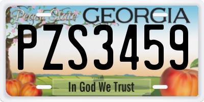 GA license plate PZS3459
