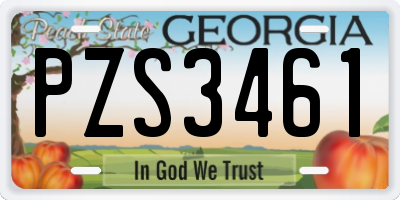 GA license plate PZS3461