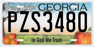 GA license plate PZS3480