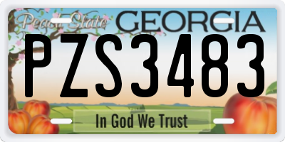 GA license plate PZS3483