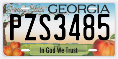 GA license plate PZS3485