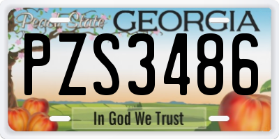 GA license plate PZS3486