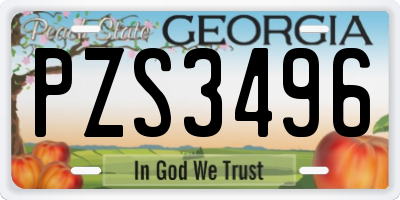 GA license plate PZS3496