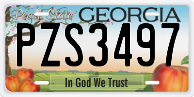 GA license plate PZS3497