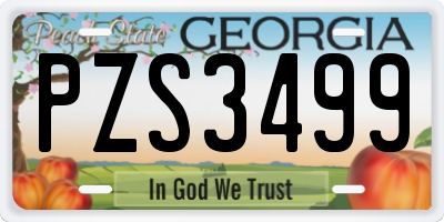 GA license plate PZS3499