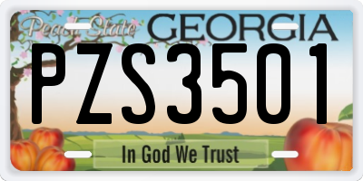 GA license plate PZS3501