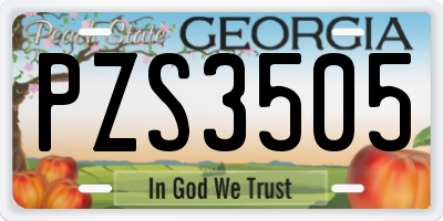 GA license plate PZS3505