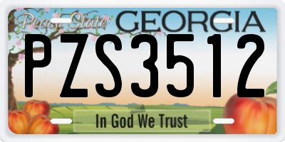 GA license plate PZS3512