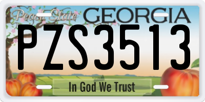 GA license plate PZS3513
