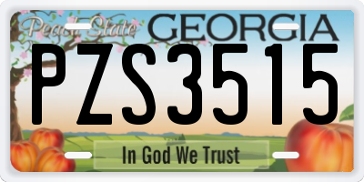 GA license plate PZS3515