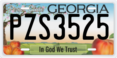GA license plate PZS3525