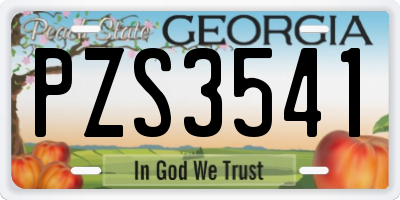 GA license plate PZS3541