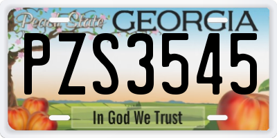 GA license plate PZS3545