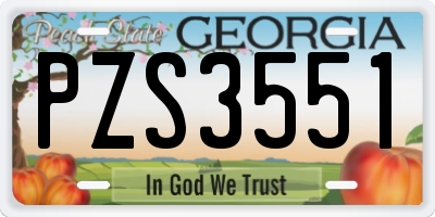 GA license plate PZS3551