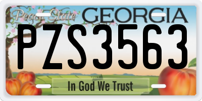 GA license plate PZS3563