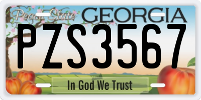 GA license plate PZS3567