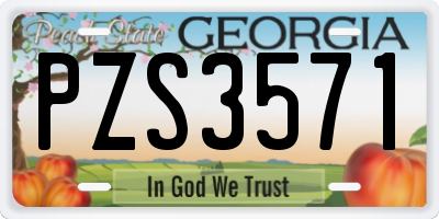 GA license plate PZS3571