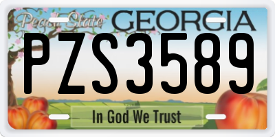 GA license plate PZS3589