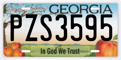 GA license plate PZS3595