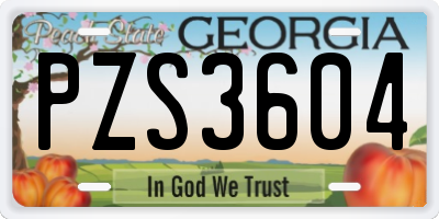 GA license plate PZS3604