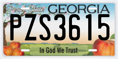 GA license plate PZS3615
