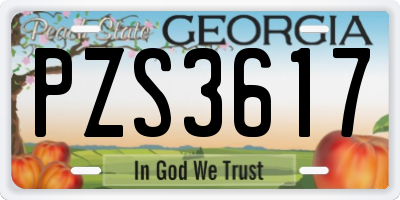 GA license plate PZS3617