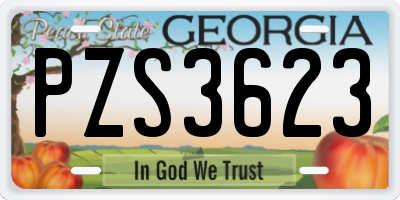 GA license plate PZS3623