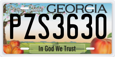 GA license plate PZS3630