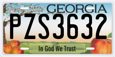 GA license plate PZS3632