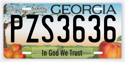 GA license plate PZS3636