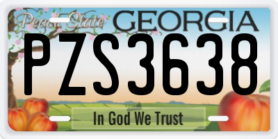 GA license plate PZS3638