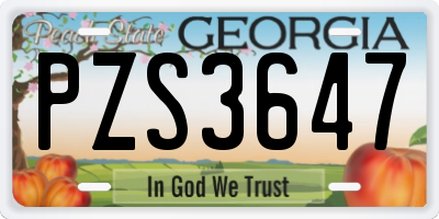 GA license plate PZS3647