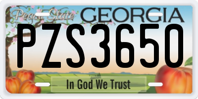GA license plate PZS3650