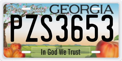 GA license plate PZS3653