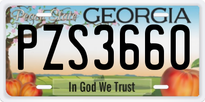 GA license plate PZS3660