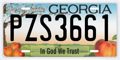 GA license plate PZS3661