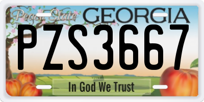 GA license plate PZS3667