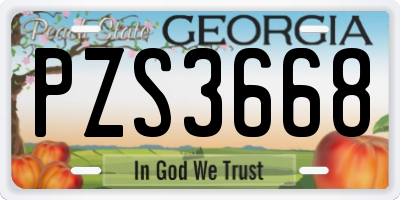 GA license plate PZS3668