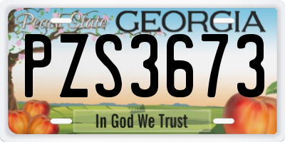 GA license plate PZS3673
