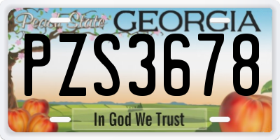 GA license plate PZS3678