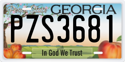 GA license plate PZS3681