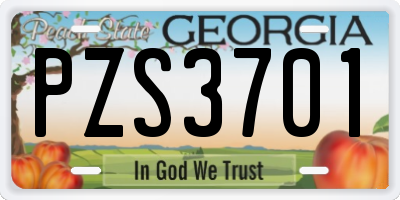 GA license plate PZS3701