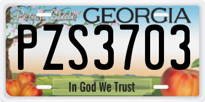 GA license plate PZS3703
