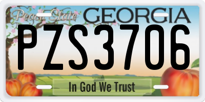 GA license plate PZS3706