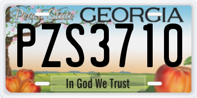 GA license plate PZS3710