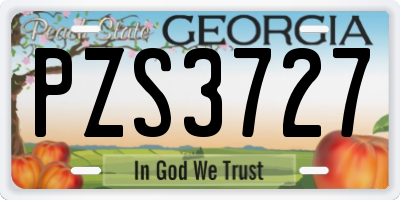 GA license plate PZS3727