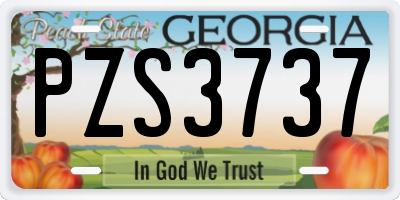 GA license plate PZS3737