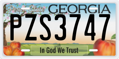 GA license plate PZS3747