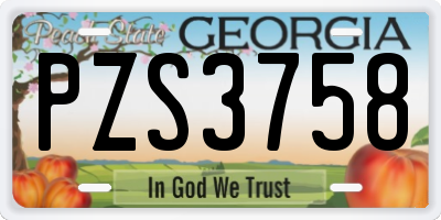 GA license plate PZS3758
